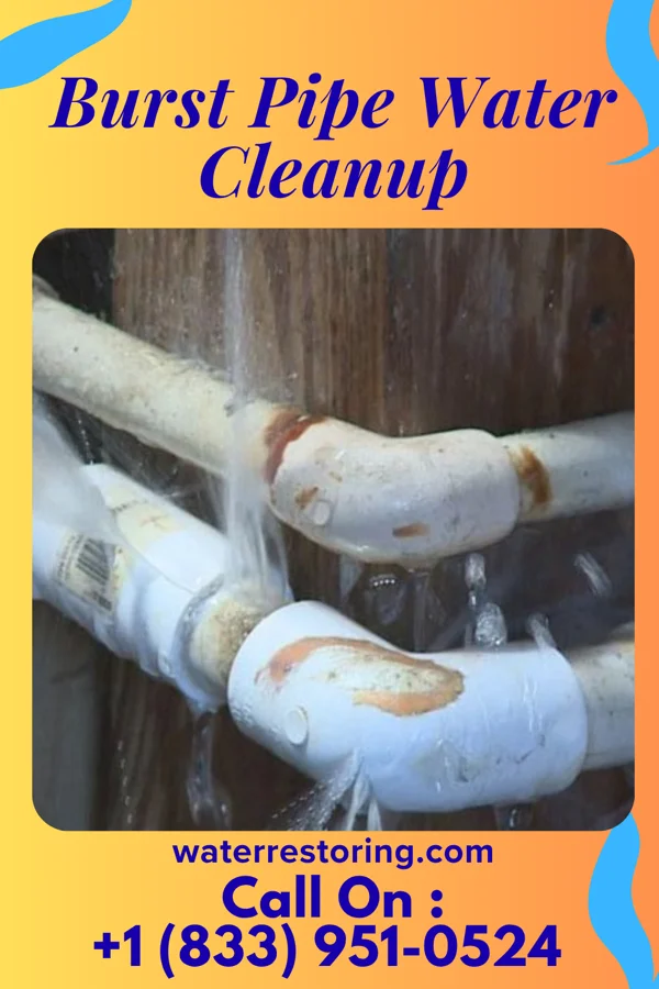 Burst Pipe Water Cleanup in Comanche, OK