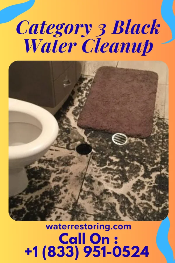 Category 3 Black Water Cleanup in Comanche, OK