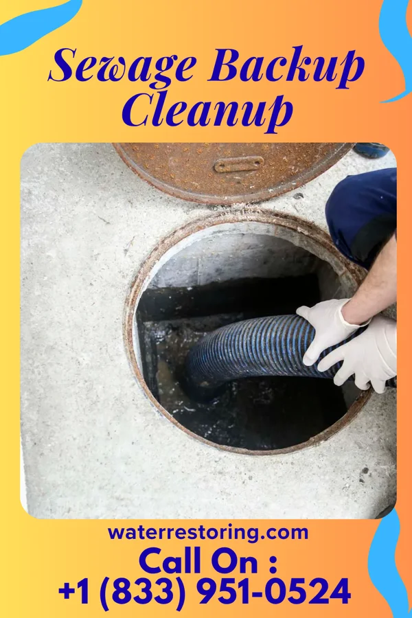 Sewage Backup Cleanup in Comanche, OK